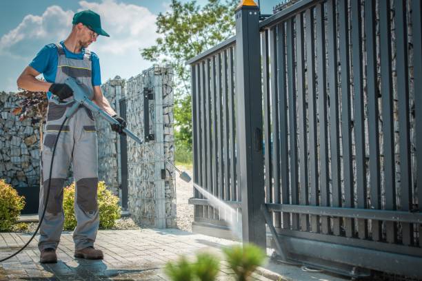 Best Soft Washing for Delicate Surfaces in Avoca, IA