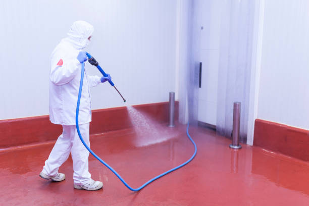 Best Roof Cleaning and Mildew Removal in Avoca, IA