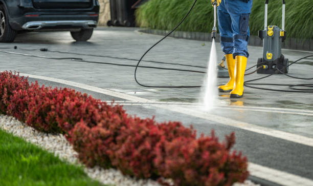Best Deck and Patio Pressure Washing in Avoca, IA